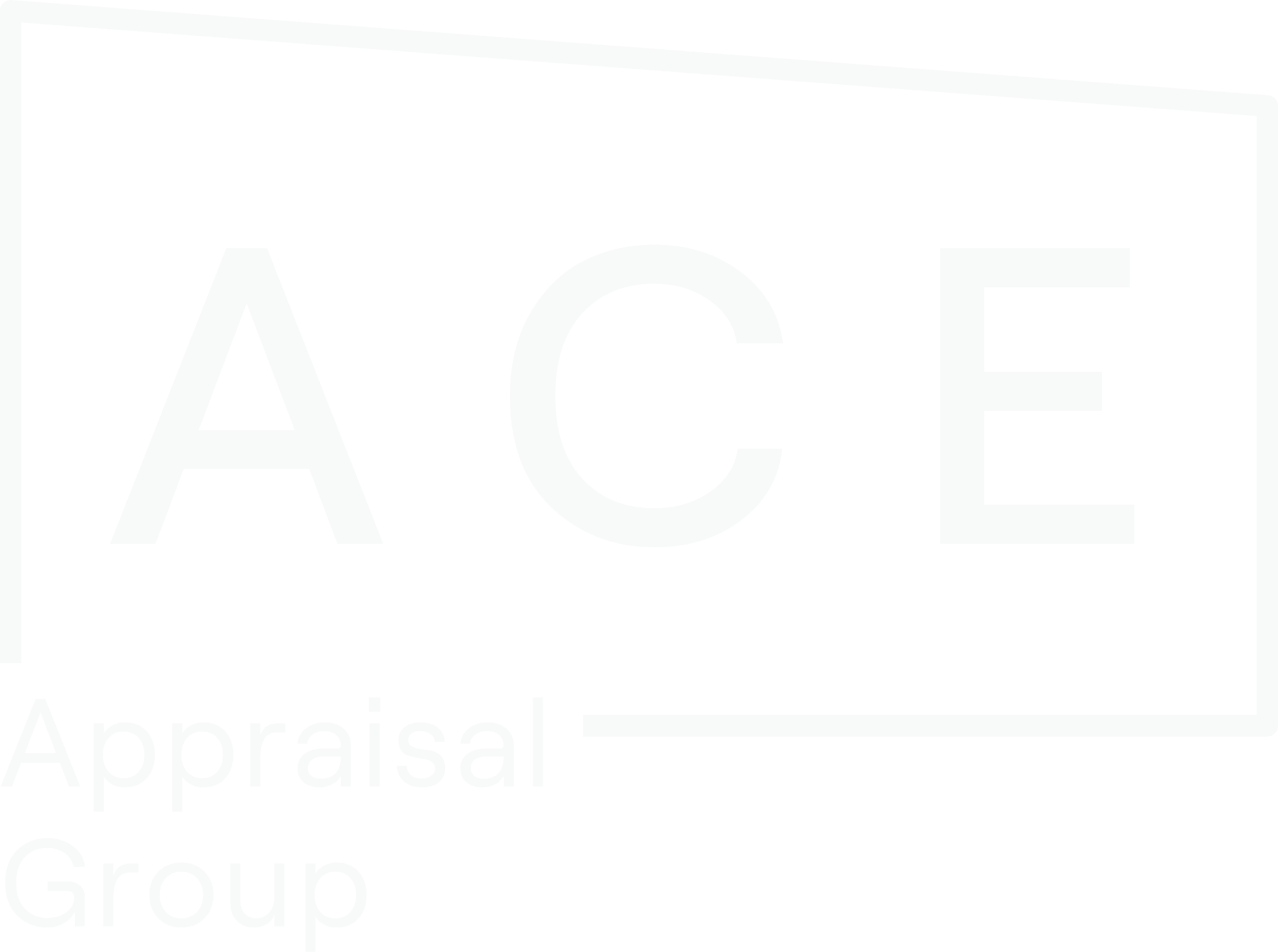 Ace Appraisal Group